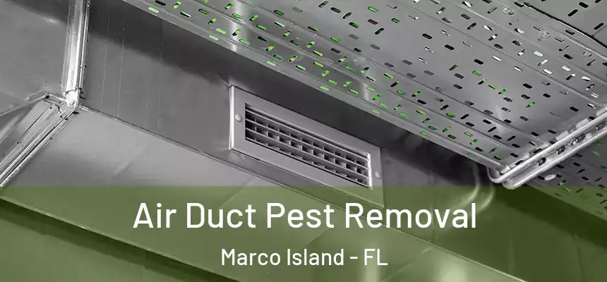  Air Duct Pest Removal Marco Island - FL