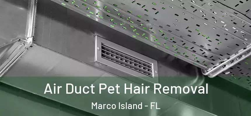  Air Duct Pet Hair Removal Marco Island - FL