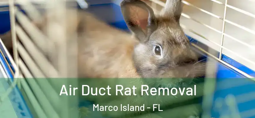  Air Duct Rat Removal Marco Island - FL