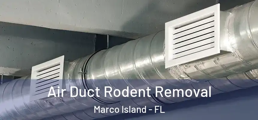  Air Duct Rodent Removal Marco Island - FL