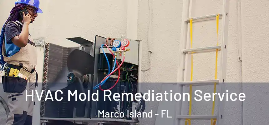 HVAC Mold Remediation Service Marco Island - FL