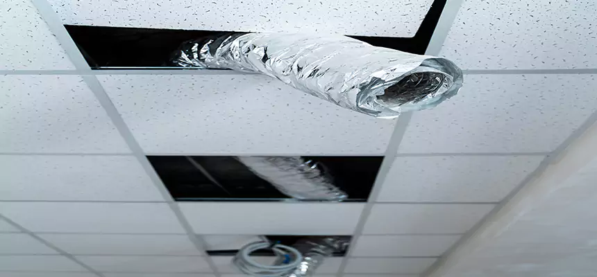 Affordable HVAC Sanitizing After Pest Removal in Marco Island