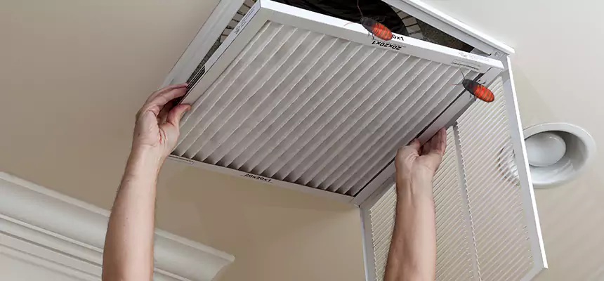 Our Insect Removal from Air Ducts Services in Marco Island, FL