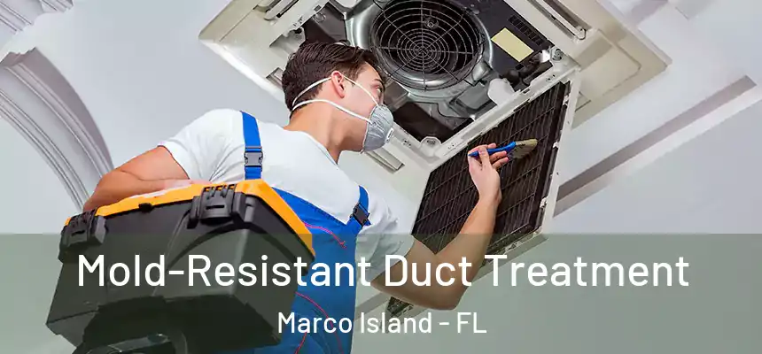  Mold-Resistant Duct Treatment Marco Island - FL