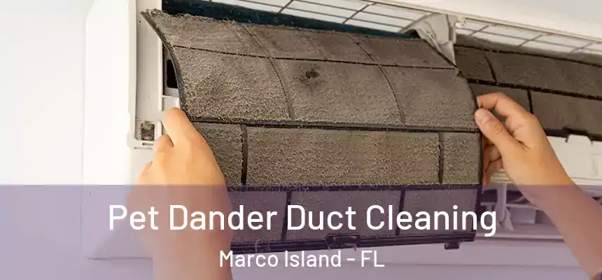 Pet Dander Duct Cleaning Marco Island - FL