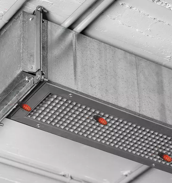 Affordable Insect Removal from Air Ducts in Marco Island, FL