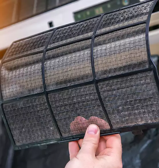About Pet Dander Duct Cleaning in Marco Island, FL